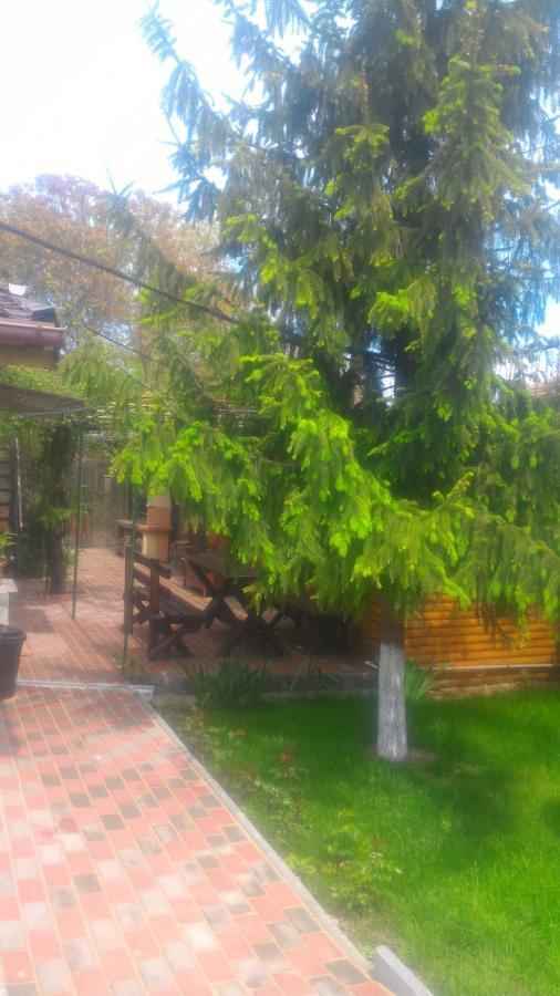 Casa Mola Apartment Mangalia Ngoại thất bức ảnh
