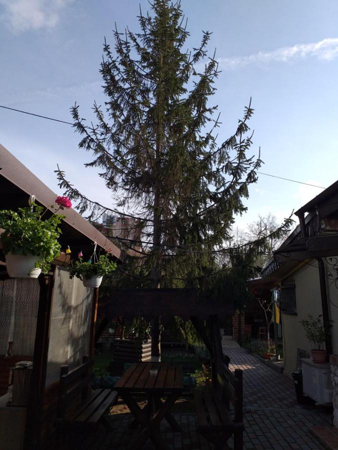 Casa Mola Apartment Mangalia Ngoại thất bức ảnh
