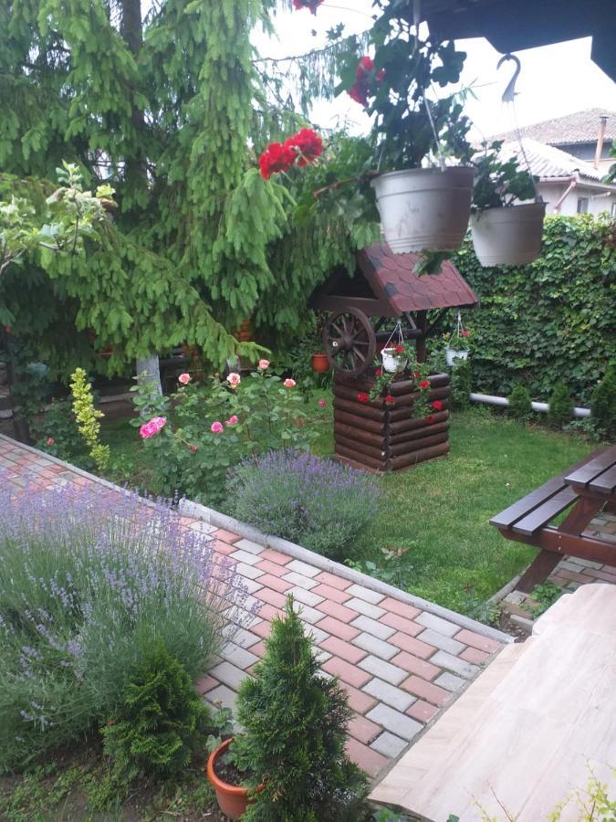 Casa Mola Apartment Mangalia Ngoại thất bức ảnh