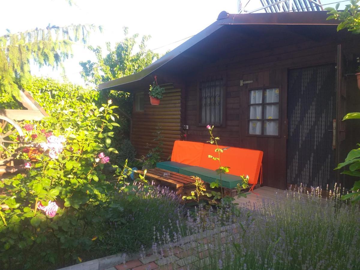 Casa Mola Apartment Mangalia Ngoại thất bức ảnh